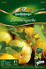 Quedlinburger Zitronengurke Lemon - Gemüsesamen