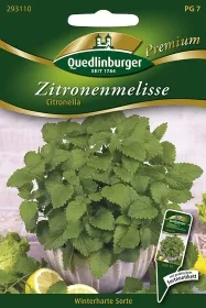 Quedlinburger Zitronenmelisse Citronella - Kräutersamen