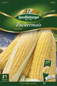 Quedlinburger Zuckermais Tatonka - Gemüsesamen