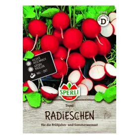 Radieschen Topsi