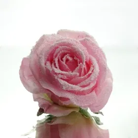 Rosenblüte Rosa beeist mit Krokodilklemme Ø 10 cm - Kunstblumen Rosenblüte Rosa beeist mit Krokodilklemme Ø 10 cm - Kunstblumen