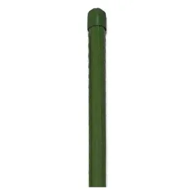 Siena Garden Pflanzstab grün - 8 x 600 mm