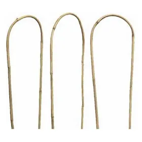Siena Garden Rankhilfe Bambus U-Form - 60 cm, 3er Bund