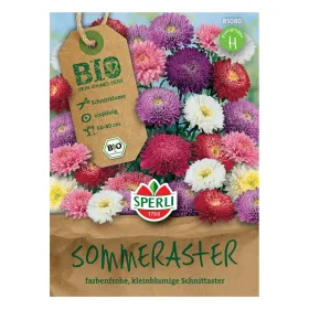 Sperli Sommeraster Mischung, mehrfarbig, Schnittblume 60 - 80 cm