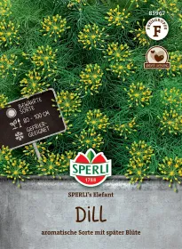 Sperli Dill SPERLI´s Elefant - Kräutersamen Sperli Dill SPERLI´s Elefant - Kräutersamen