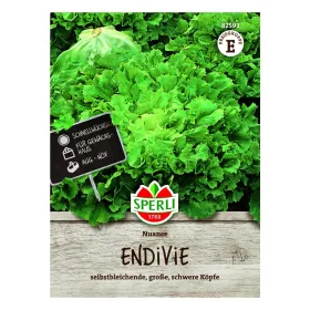 Sperli Endivie Nuance Samen - 1 Portion