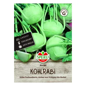 Sperli Kohlrabi Noriko - Saatgut für 50 Pflanzen