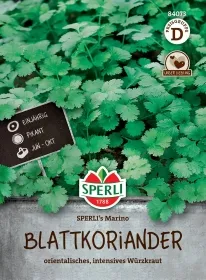 Sperli Koriander Marino - Kräutersamen