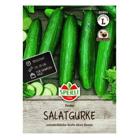 Sperli Salatgurke Paska F1 - 1 Portion