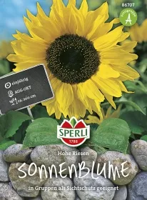 Sperli Sonnenblumen Hohe Riesen - Blumensamen Sperli Sonnenblumen Hohe Riesen - Blumensamen