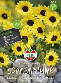 Sperli Sonnenblumen Soluna Lemon - Blumensamen Sperli Sonnenblumen Soluna Lemon - Blumensamen