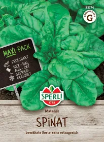 Sperli Spinat Matador 50 Gramm MaxiPack - Gemüsesamen Sperli Spinat Matador 50 Gramm MaxiPack - Gemüsesamen