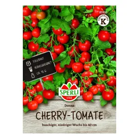 Sperli Tomate Donna F1 Topftomate - 1 Portion