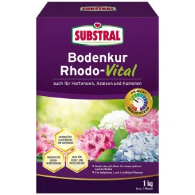 SUBSTRAL® Bodenkur Rhodo-Vital für ca. 5 Pflanzen - 1 kg