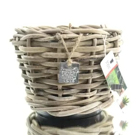 VAN DER LEEDEN DRYPOT® Rattan Pflanzgefäß Grau Ø ca. 20 cm - Sylter Körbe VAN DER LEEDEN DRYPOT® Rattan Pflanzgefäß Grau Ø ca. 20 cm - Sylter Körbe