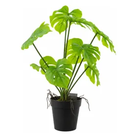 VAN DER LEEDEN Monstera im Topf 28 cm - Kunstpflanze