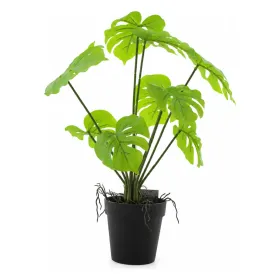 VAN DER LEEDEN Monstera im Topf 35 cm - Kunstpflanze
