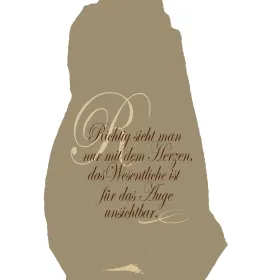 Videx® Pflanzen-Winterschutz-Vlieshaube Richtig sieht man nur… 130 x 160 cm