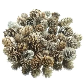 Weihnachtsdeko Mini-Zapfen Natur beschneit- 48 g