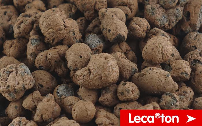 Link zur Lecaton Markenwelt