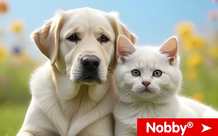 Link zur Nobby® Markenwwelt